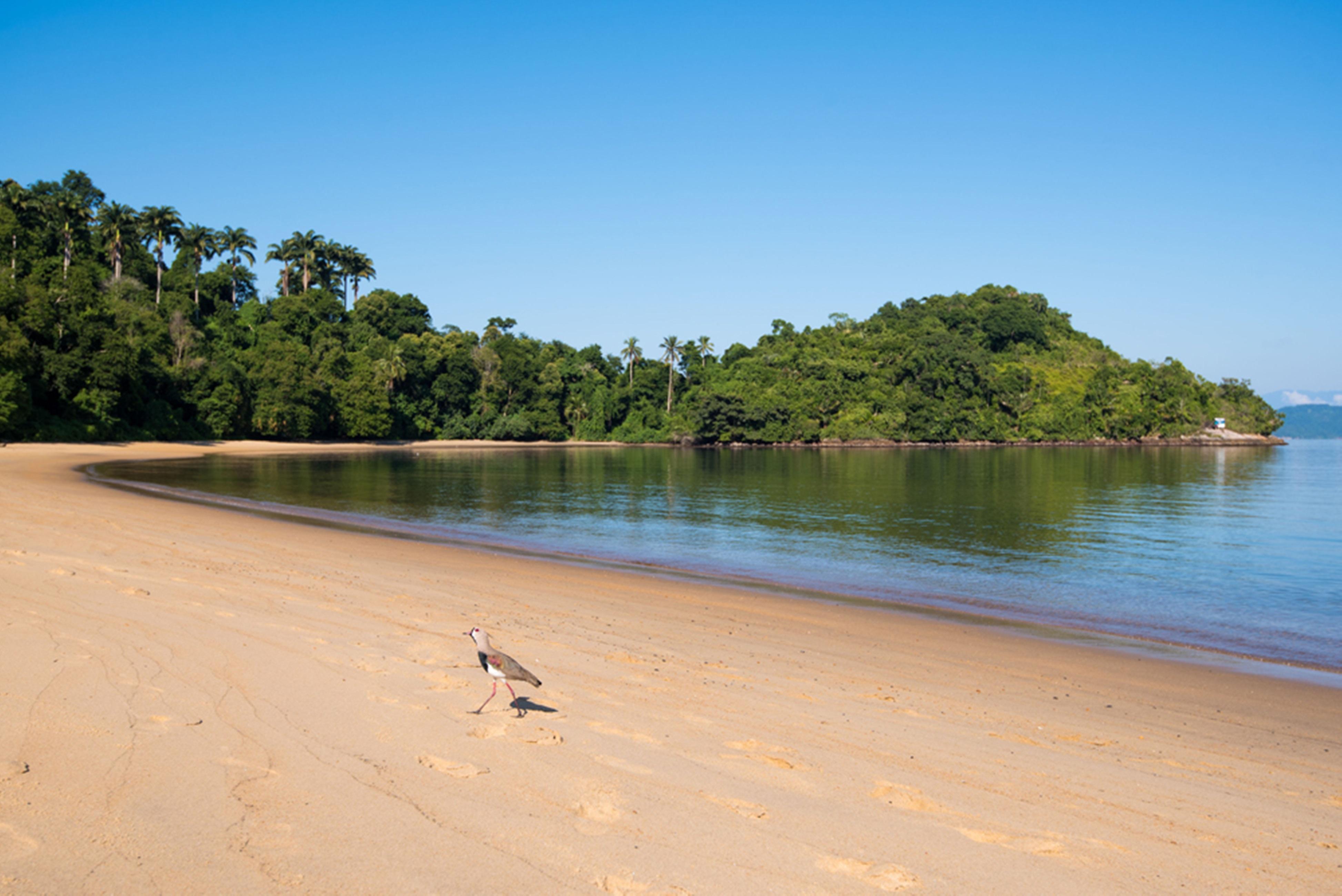 Vila Gale Eco Resort Angra Angra dos Reis Exterior photo Beach at the park
